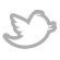 follow us on twitter