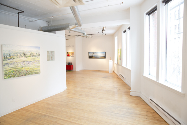 gurevich fine art. photographed by brett howe