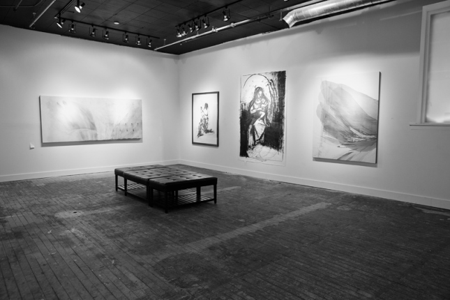 gurevich fine art. photographed by brett howe