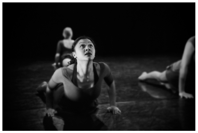 Winnipeg school of contemporary dancers, photographed by brett howe