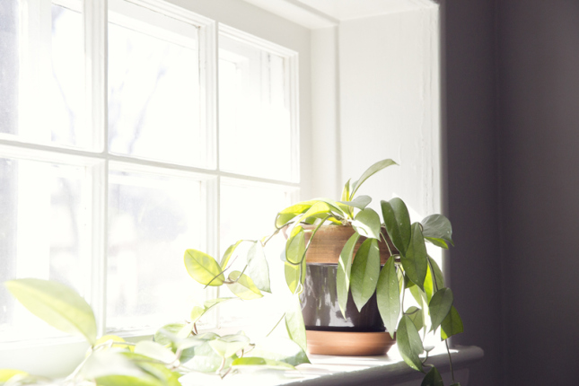 Green Home7 © 2015 charcoalcollaborative